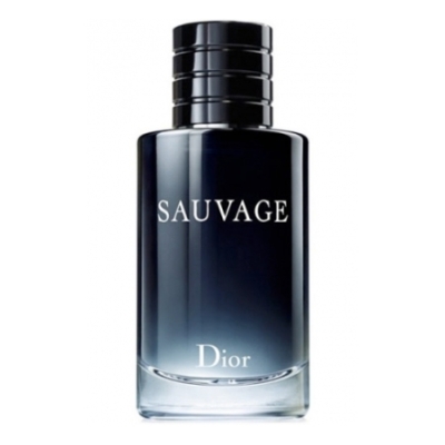 Dior Sauvage 2015 - Eau de Toilette fur Herren 100 ml