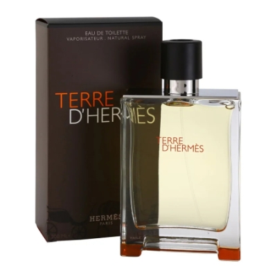 Hermes Terre D Hermes - Eau de Toilette fur Herren 200 ml