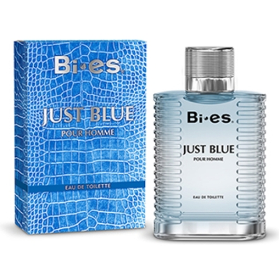 Bi-Es Just Blue Homme - Eau de Toilette fur Herren 100 ml